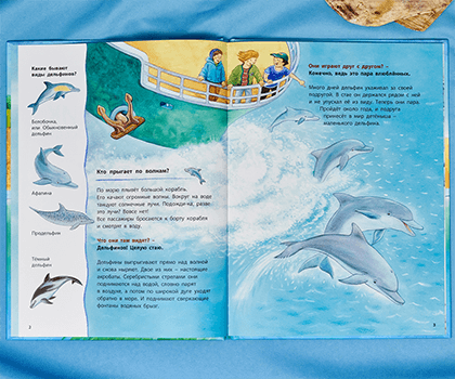 Книга «Дельфинчик и его морские соседи. Познавательные истории»