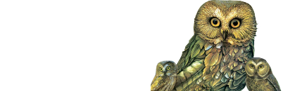 Аквилегия-М