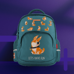 Рюкзаки и ранцы