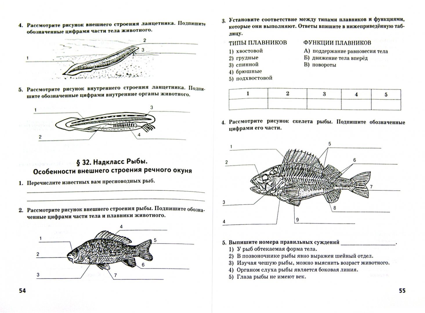 Биология 8 класс лабораторная работа номер 11: найдено 90 изображений