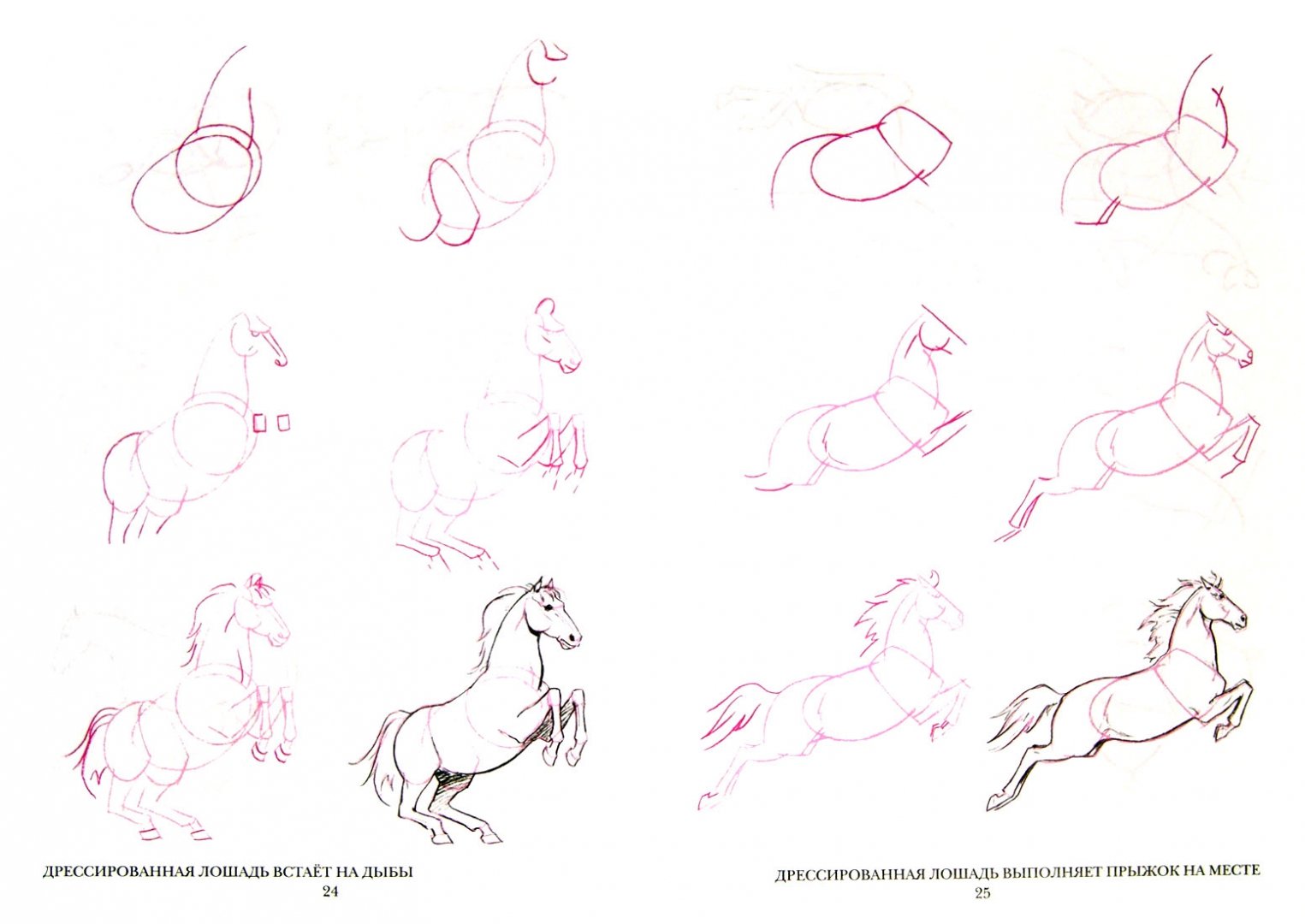 Конек горбунок поэтапно. Лошадь рисунок карандашом. Лошадь рисунок карандашом поэтапно. Уроки рисования для начинающих взрослых. Пошаговое рисование лошади.