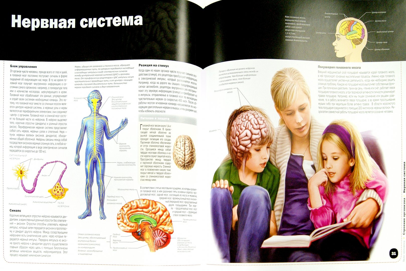 Книга тело мозг. Тело человека книга. Иллюстрации из книги тело человека. Лабиринт тело человека.