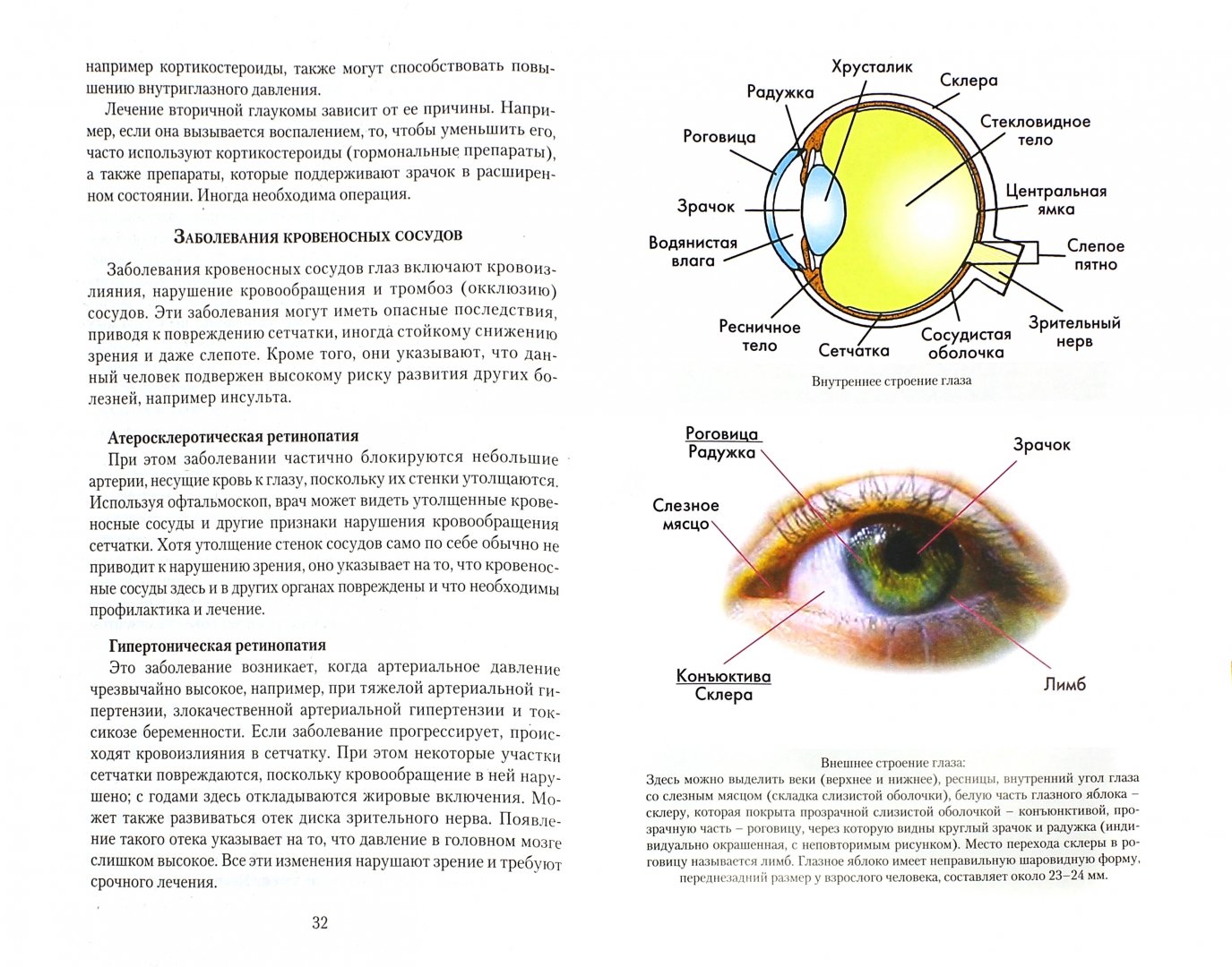 Заболевания глаз биология 8 класс. Болезни глаз. Причины, лечение, профилактика. Мифы и реальность книга. Заболевания глаз список. Болезни зрения список глазные.