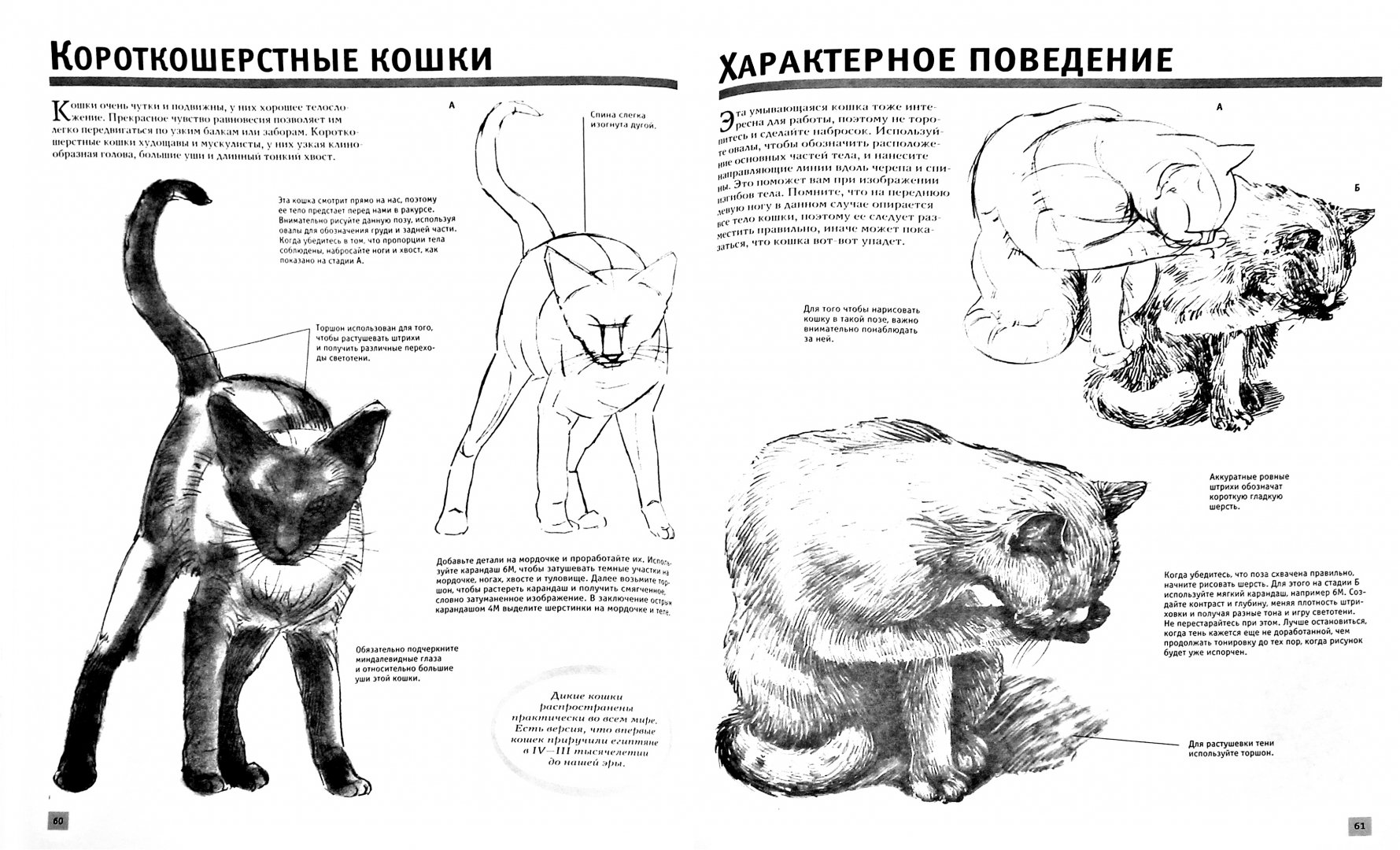 Полный курс рисунок и живопись материалы техника методы хейзл гаррисон