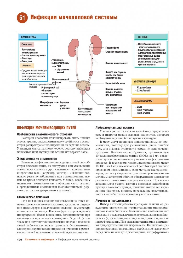Инфекций мочеполового тракта. Наглядные инфекционные болезни и микробиология. Инфекции мочеполовой системы. Буклет инфекции мочевыводящих путей. Профилактика заболеваний мочеполовой системы.