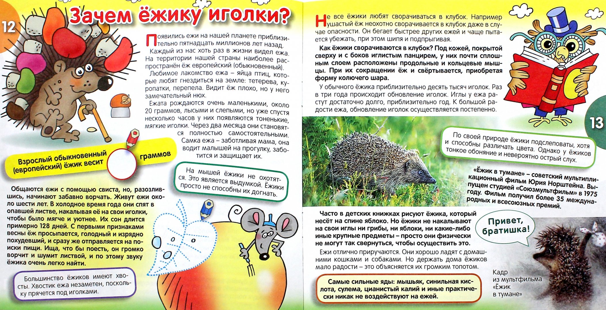 Ежика 3 класс
