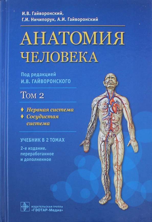 Анатомия книга для студентов. Анатомия и физиология человека и.в. Гайворонский, г.и. Ничипорук. Гайворонский Ничипорук анатомия человека. Гайворонский нормальная анатомия человека в двух томах. Гайворонский анатомия учебник.