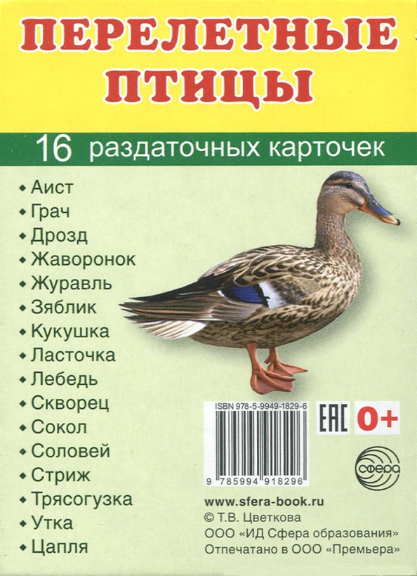 Аист грач. Раздаточные карточки перелетные птицы 16 карточек. Перелетные птицы раздаточные карточки. Перелетные птицы. Раздаточный материал птицы.