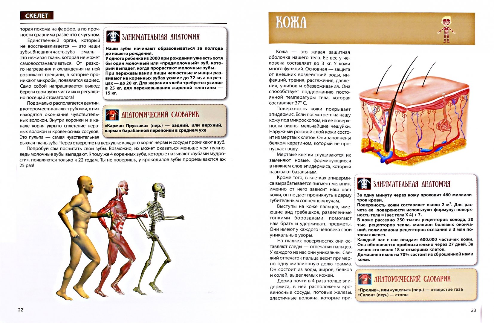 Анатомия Преступления Купить Книгу