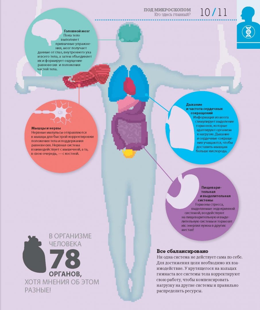 Как устроен и работает организм. Организм не реагирует. Способность организма внедряться в ул. Организм не реагирует. Организм не реагирует.