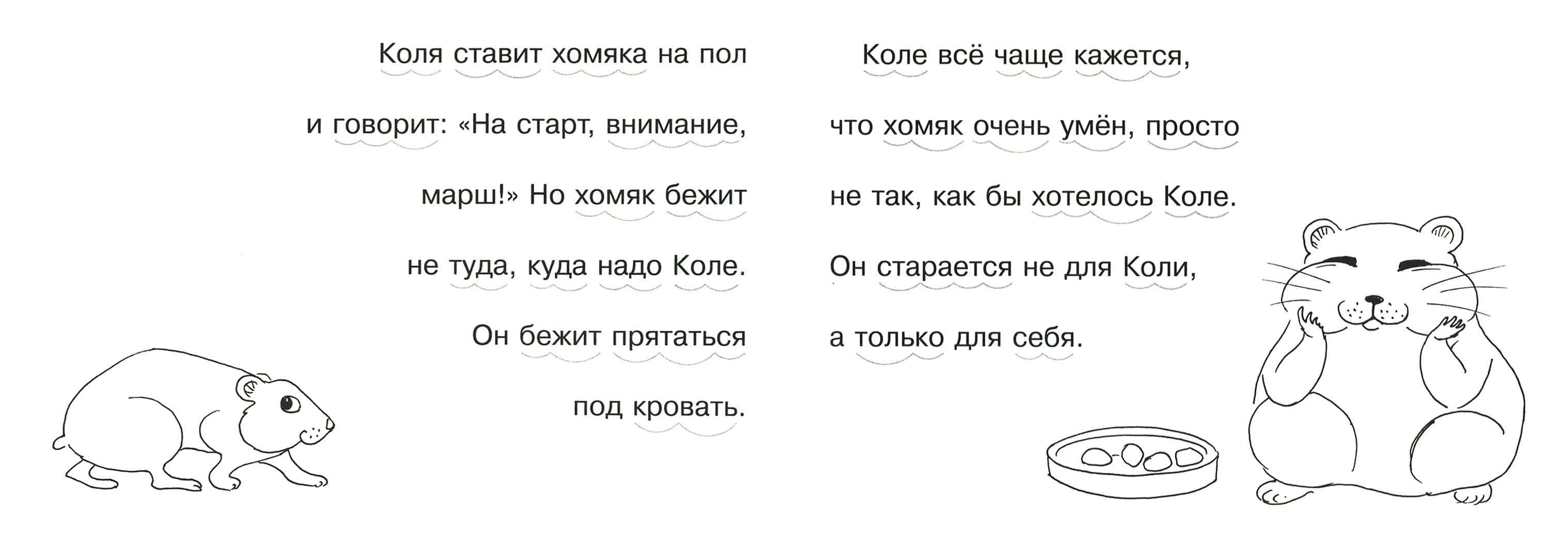 Кодовое слово хомяк 19. Загадка про хомяка. Слово хомяк. Стих про хомяка. Стих про хомяка для детей.