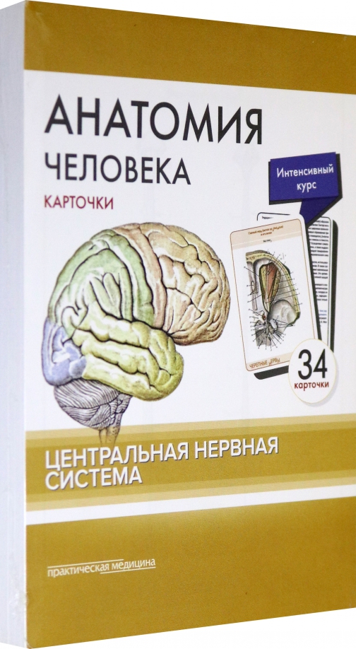 Полный курс анатомии. Анатомия книга. Сапин анатомия человека. Центральная нервная система. Нервная система карточки.