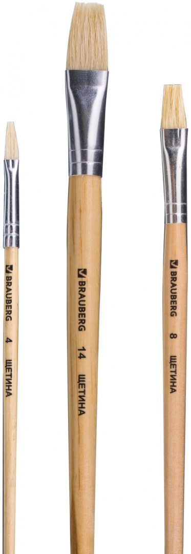 Кисть щетина плоская №4. Набор кистей щетина плоская. Winsor newton кисти. Кисть трафарет. Набор кистей brauberg 5 шт.