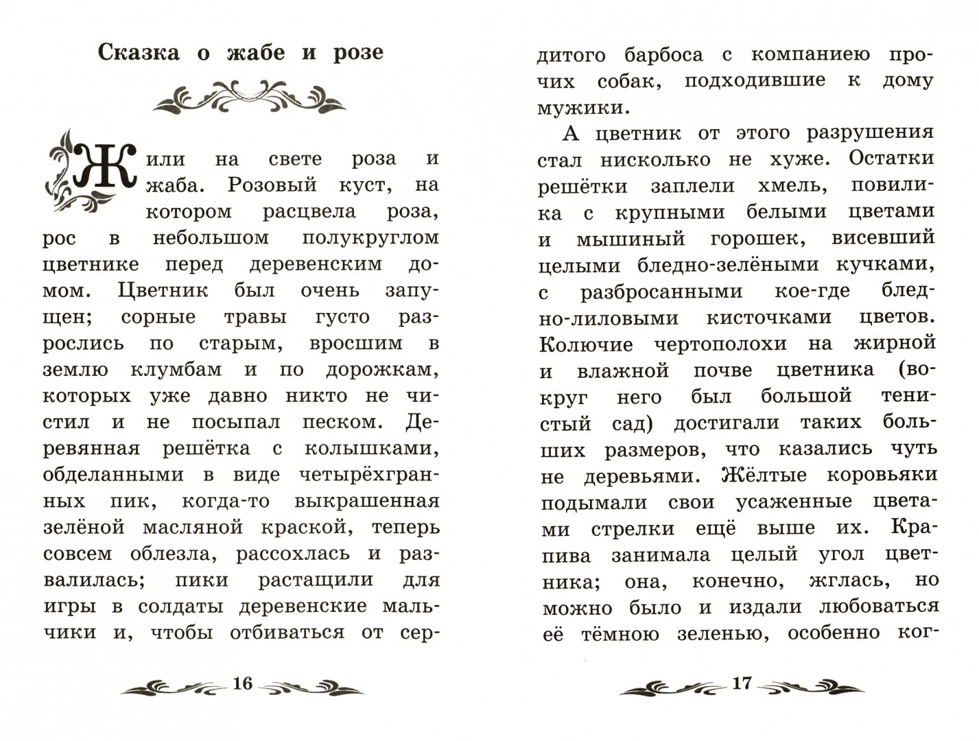 Сказка жаба читать. Сказка о жабе и Розе читать полностью. Сказка о жабе и Розе полный рассказ.