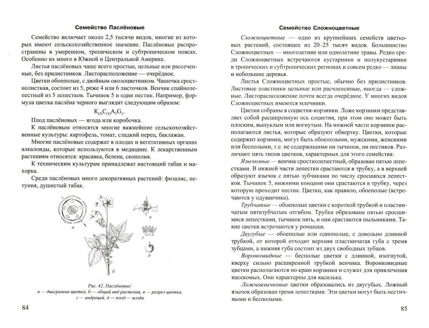 Большая Книга Судьбы Зданович 1999 Купить