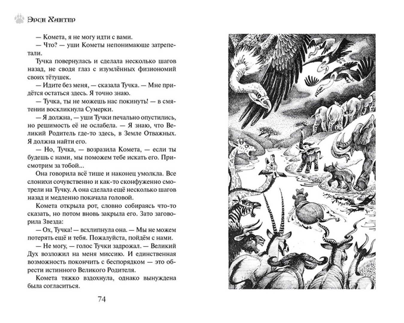 Книга хантер. Эрин Хантер земля отважных. Эрин Хантер земля отважных 1 книга. Земля отважных книга книги Эрина Хантера. Земля отважных Эрин Хантер смещение теней.