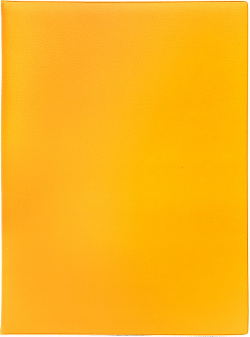 Audi tt coupe 8j 2006. а4 оранжевая. оранжевый цвет фон. папка с файлами стрекоза, a4+, 1685, оранжевый. а4 оранжевая.