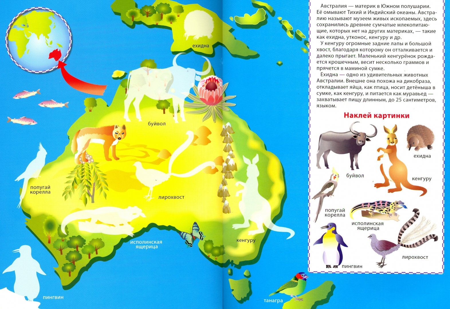 Животные материков. Австралия для дошкольников. Карта животных Австралии. Австралия для детей дошкольного возраста. Австралия карта для детей.