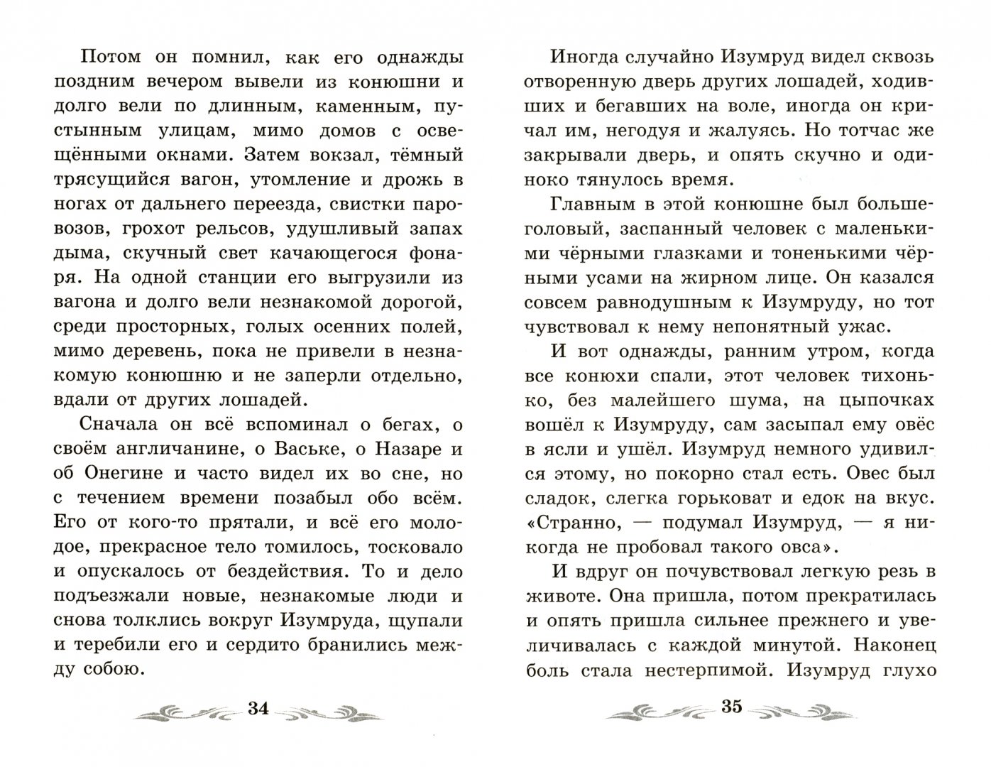 Изумруд куприн краткое содержание для читательского дневника