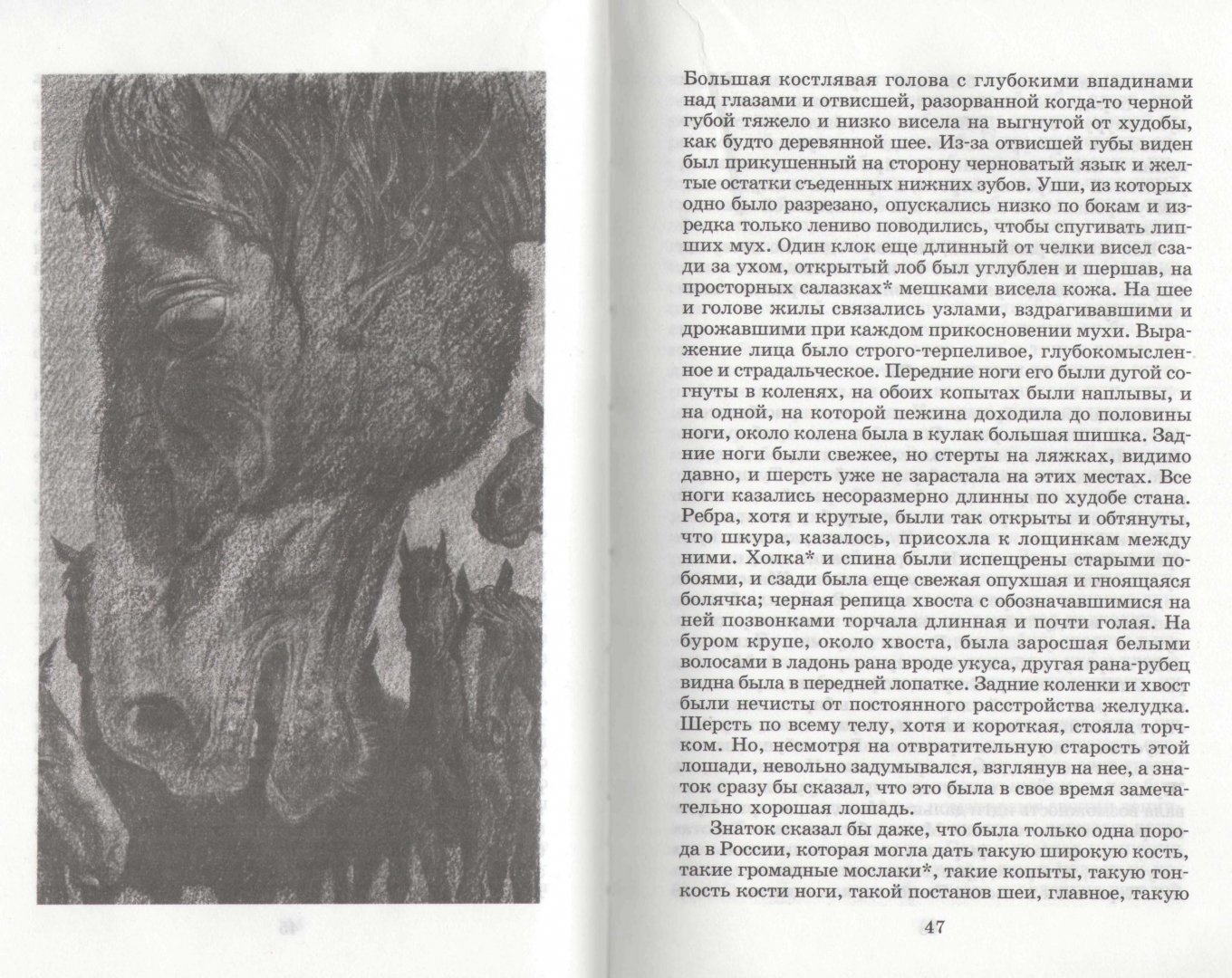 Лев повести. Длинные рассказы. Рассказы не длинные. Рассказы длинные рассказы. Интересные длинные рассказы.