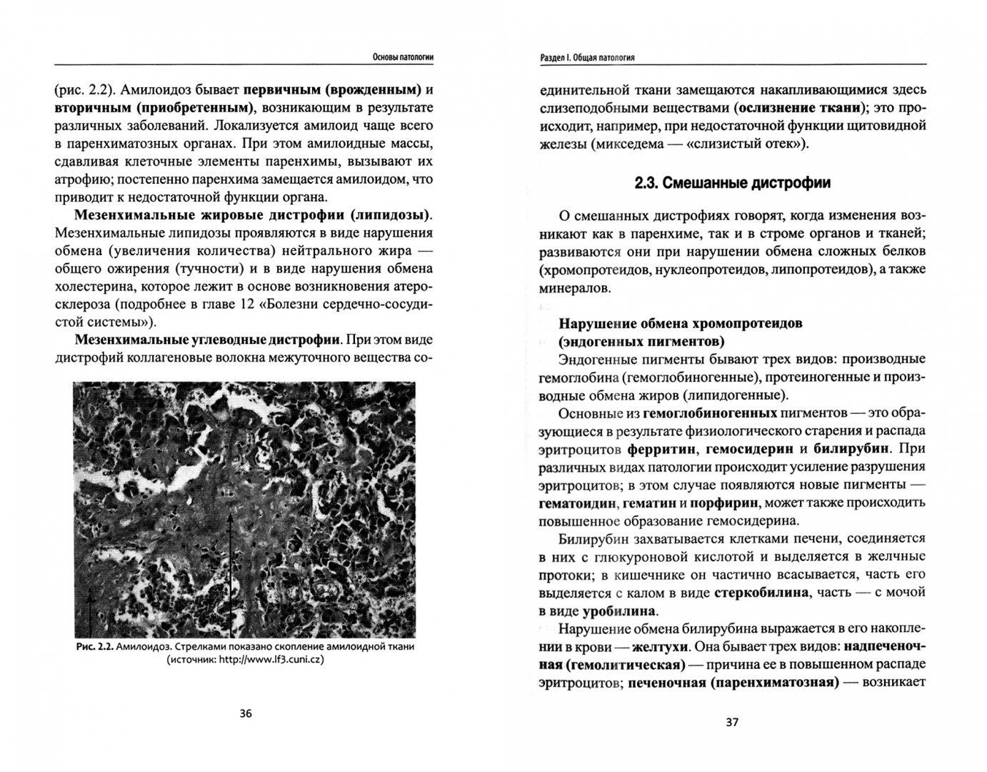 Основы патологии. Ремизов и. 