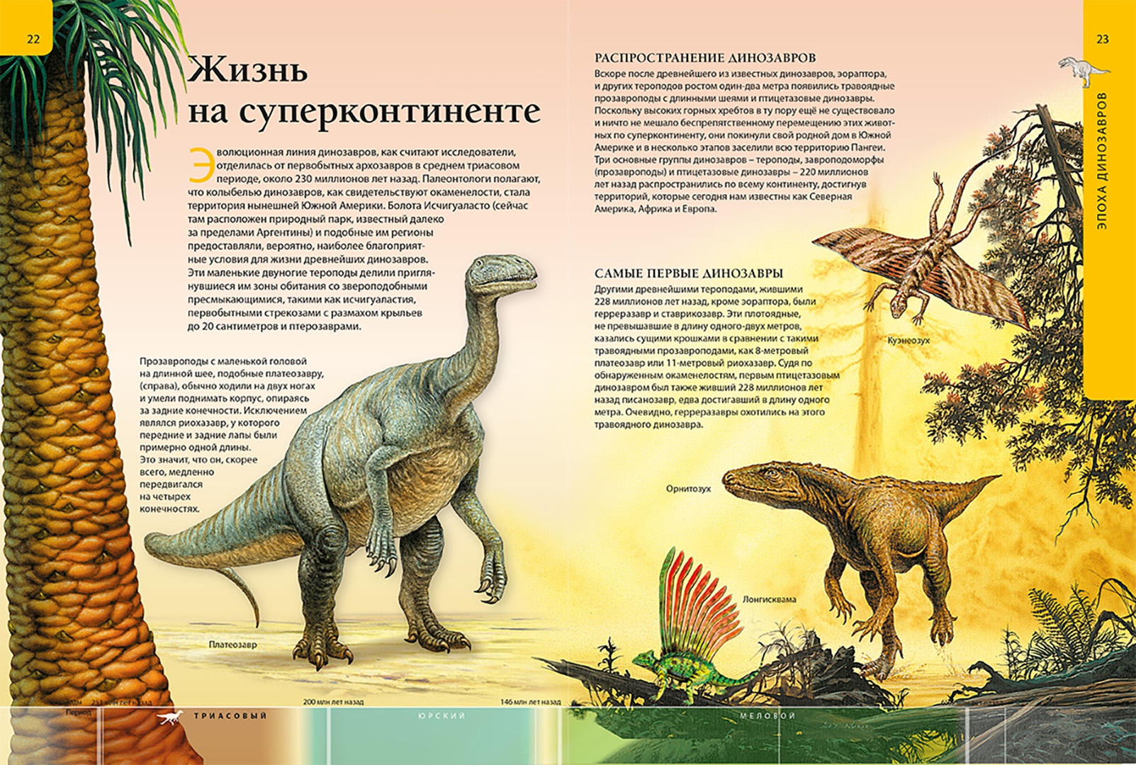 Энциклопедия про динозавров для детей с картинками