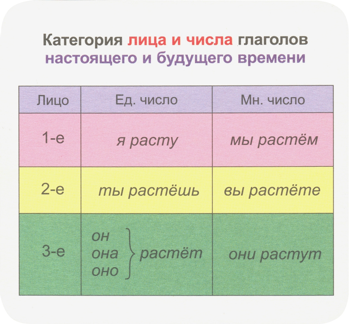 Число глаголов. Как определить число время род глаголов. Время и число глаголов. Изменение глаголов по числам.