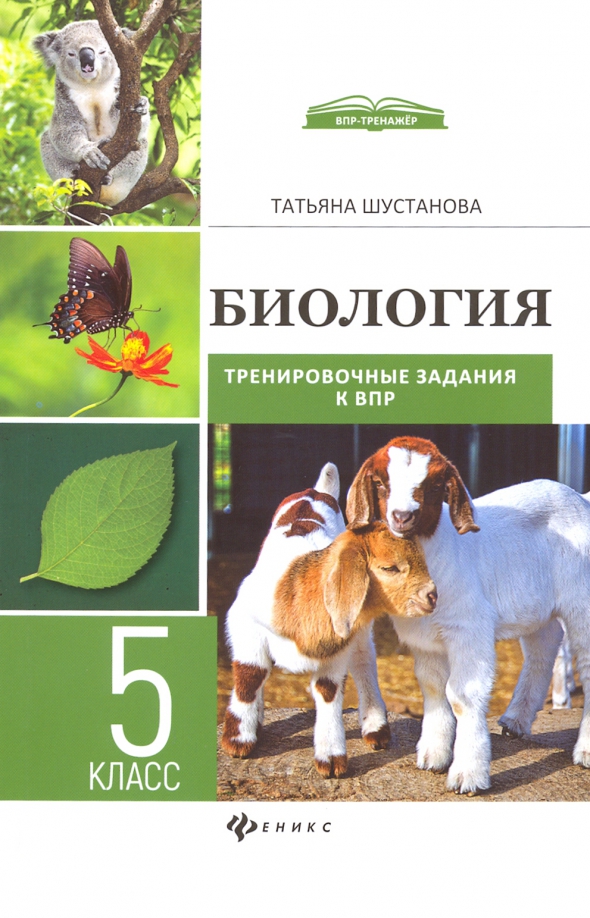 Впр по биологии. Подготовка к впр по биологии. Задания впр 5 класс биология. Задание по впр 5 класс по биологии. Впр биология 2025 тренировочные задания.