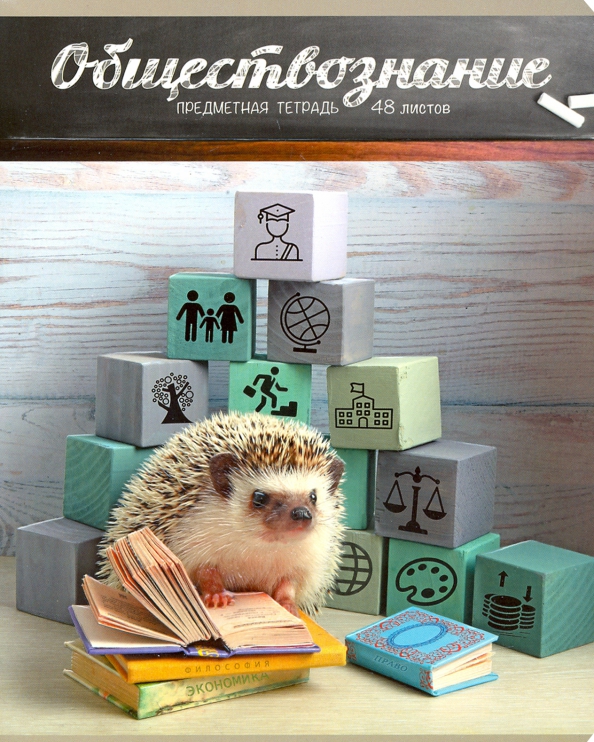 Тетрадь с ёжиком. Тетради жизнь ежей. Предметные тетради с ежиками. Тетради жизнь ежей. Предметные тетради тайная жизнь ежей.