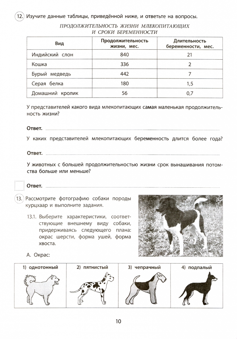 Пройти впр по биологии 7 класс 2024. ВПР по биологии 8 класс раздел животные. ВПР по биологии животные. ВПР по биологии 7 животные. ВПР по биологии 7 класс животные.