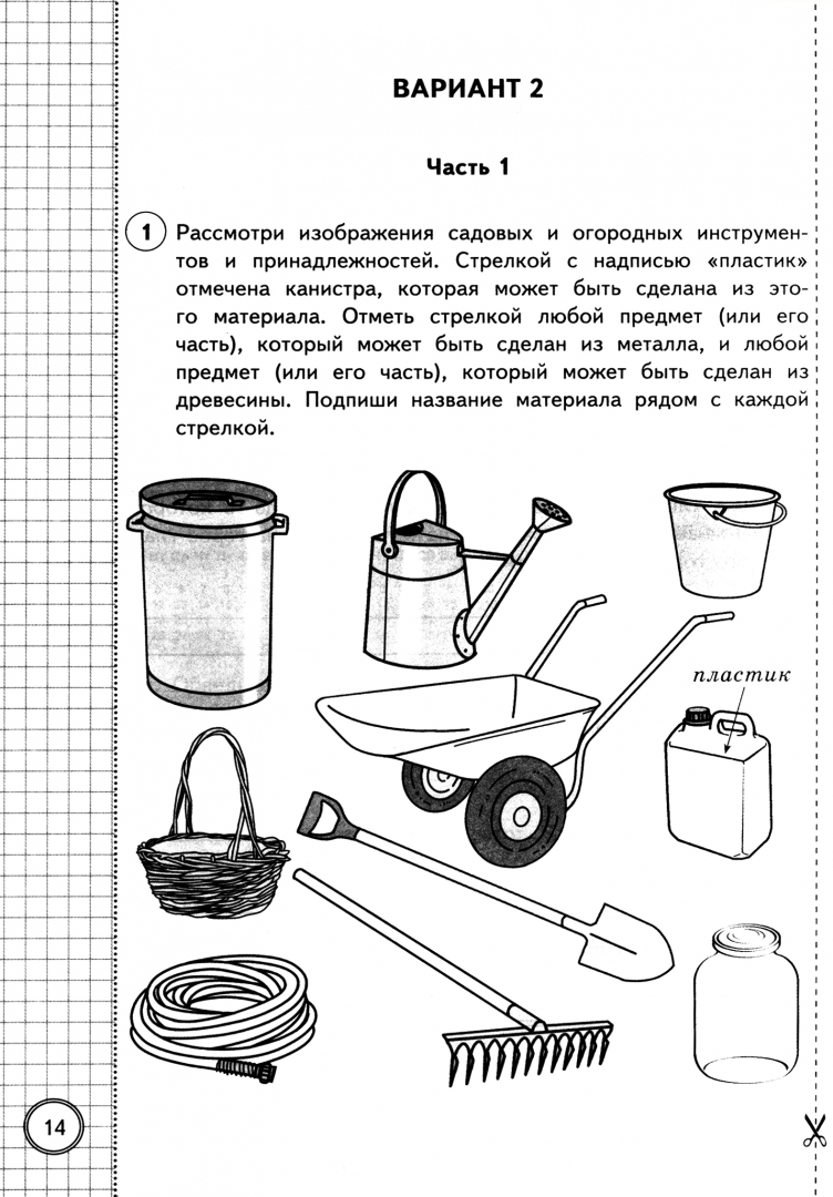 В спортивном магазине впр