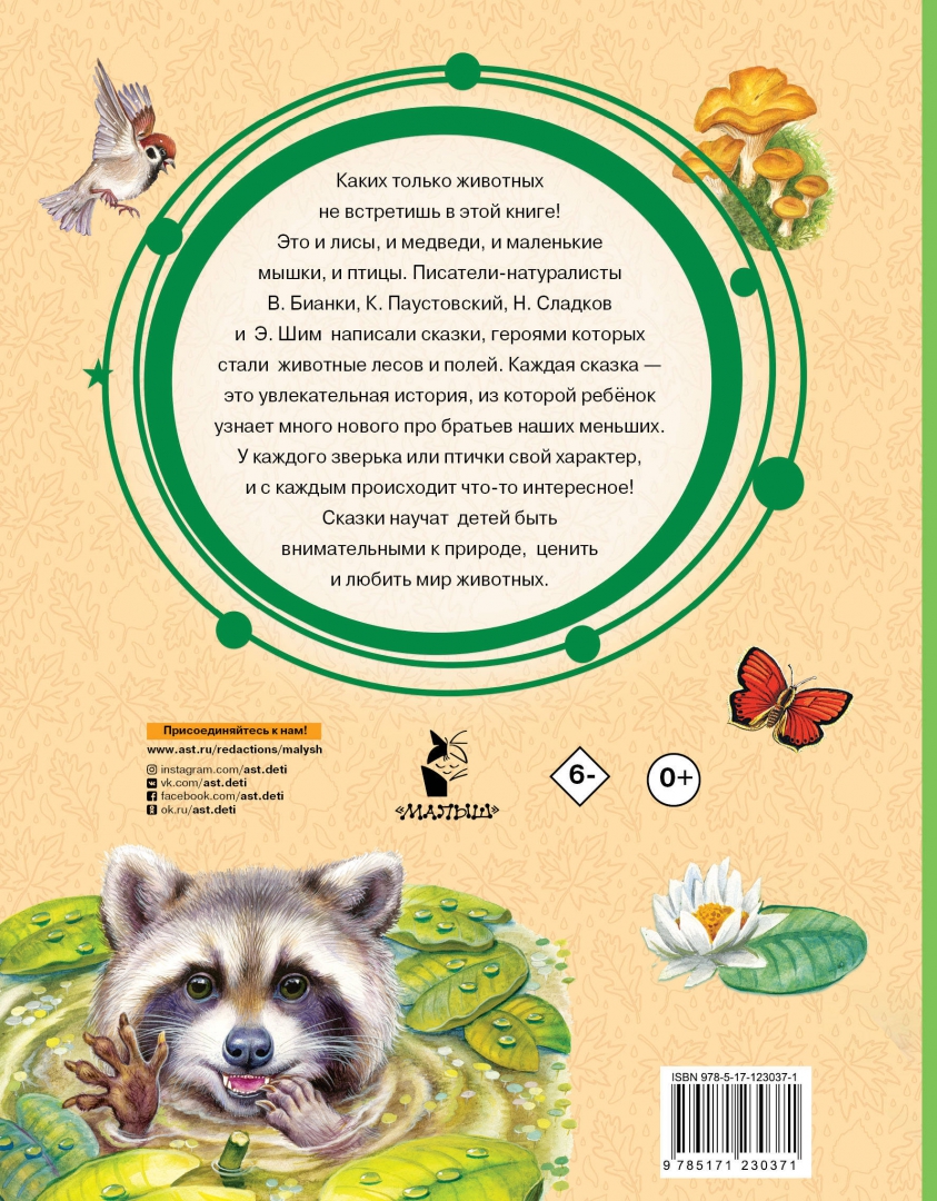 Книги о животных. Маленькие сказки про животных. Сказки о животных названия. Маленькие сказки про животных. Сказки про любых животных большие.