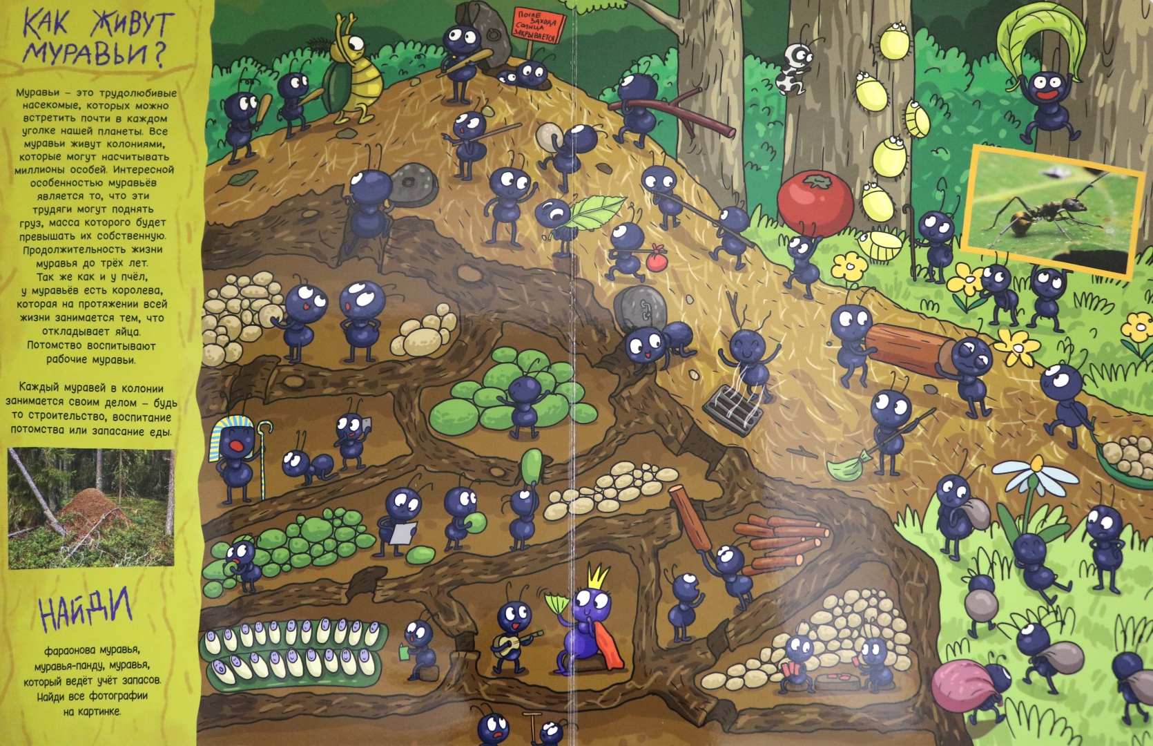 приключения флика. Minuscule мультфильм. Qbrix мир букашек. букашки крохи минускулы minuscule. букашки мультфильм паук.