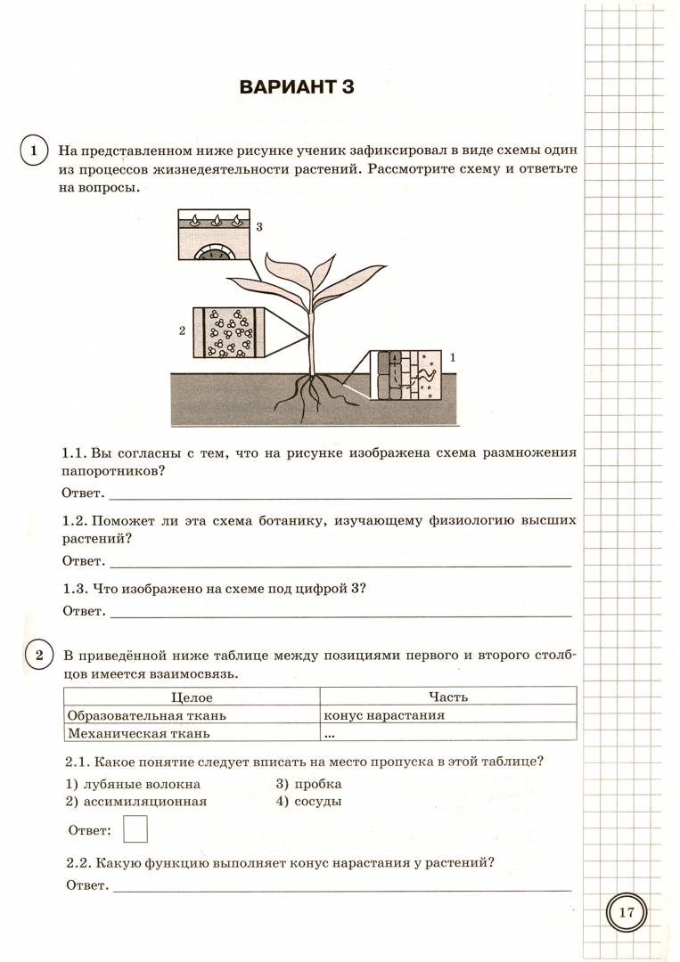 Впр по биологии первый вариант 5 класс. ВПР по биология 25 вариантов. Процессы жизнедеятельности растений 6 класс ВПР. ВПР биология 6 класс вариант 1 с ответами. Типовые варианты задания семь.