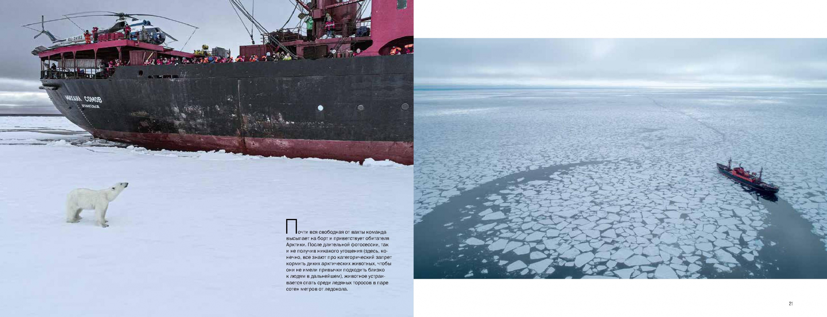 Экспедиция открытый океан архипелаги арктики 2019. Панорамы Арктики. Архипелаги Арктики панорама высоких широт.