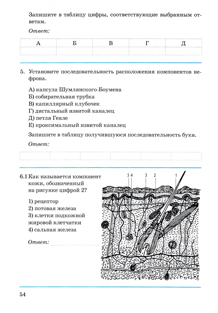 Биология Человека Резанова Купить