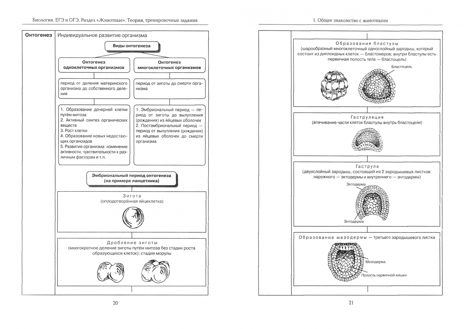 Как решать задания огэ по биологии 2024. Биология в таблицах и схемах подготовка к ЕГЭ по биологии. ОГЭ по биологии в таблицах и схемах. Биология ОГЭ 2024 теории. ЕГЭ по биологии задания.