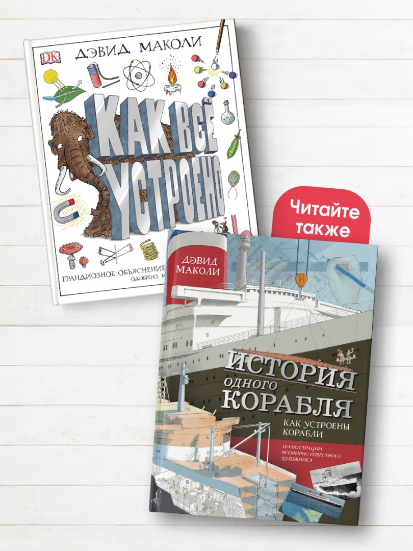 Как все устроено дэвид маколи. Как все устроено дэвид маколи