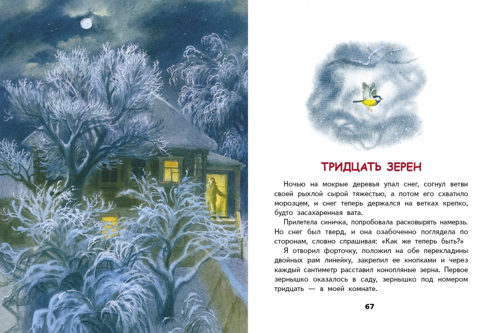 Первый снег. Текст ночью на мокрые деревья упал снег. Мокрый снег на деревьях. Гололед на деревьях. Текст ночью на мокрые деревья упал снег.