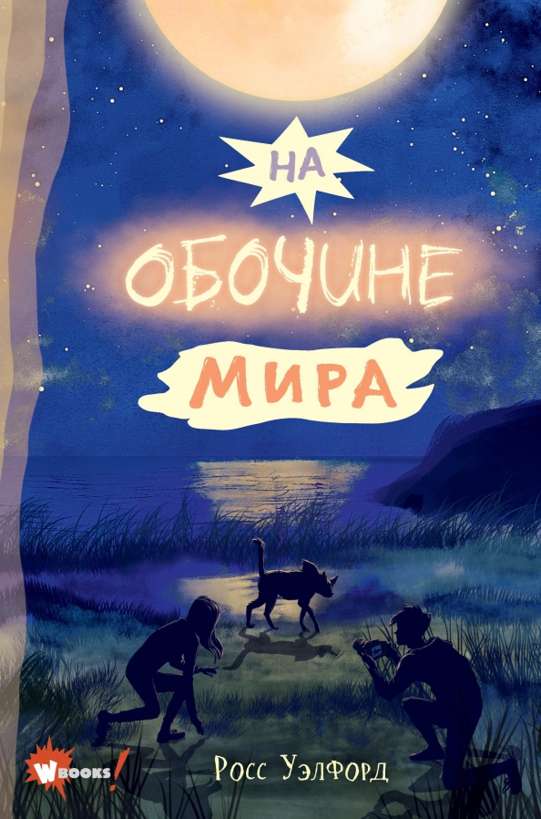 Росс 18. Росса Уэлфорд "Тысячелетний мальчик". Книги фэнтези для подростков.