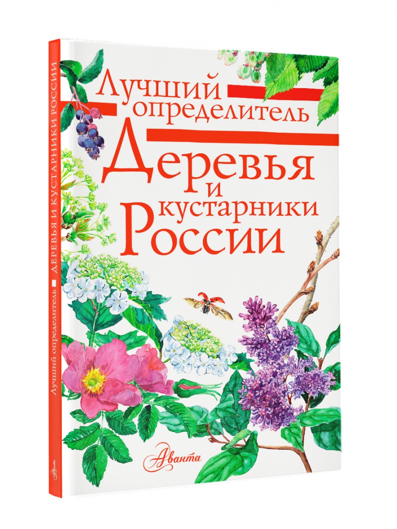 Определитель деревьев. Лучший определитель деревьев и кустарников России.