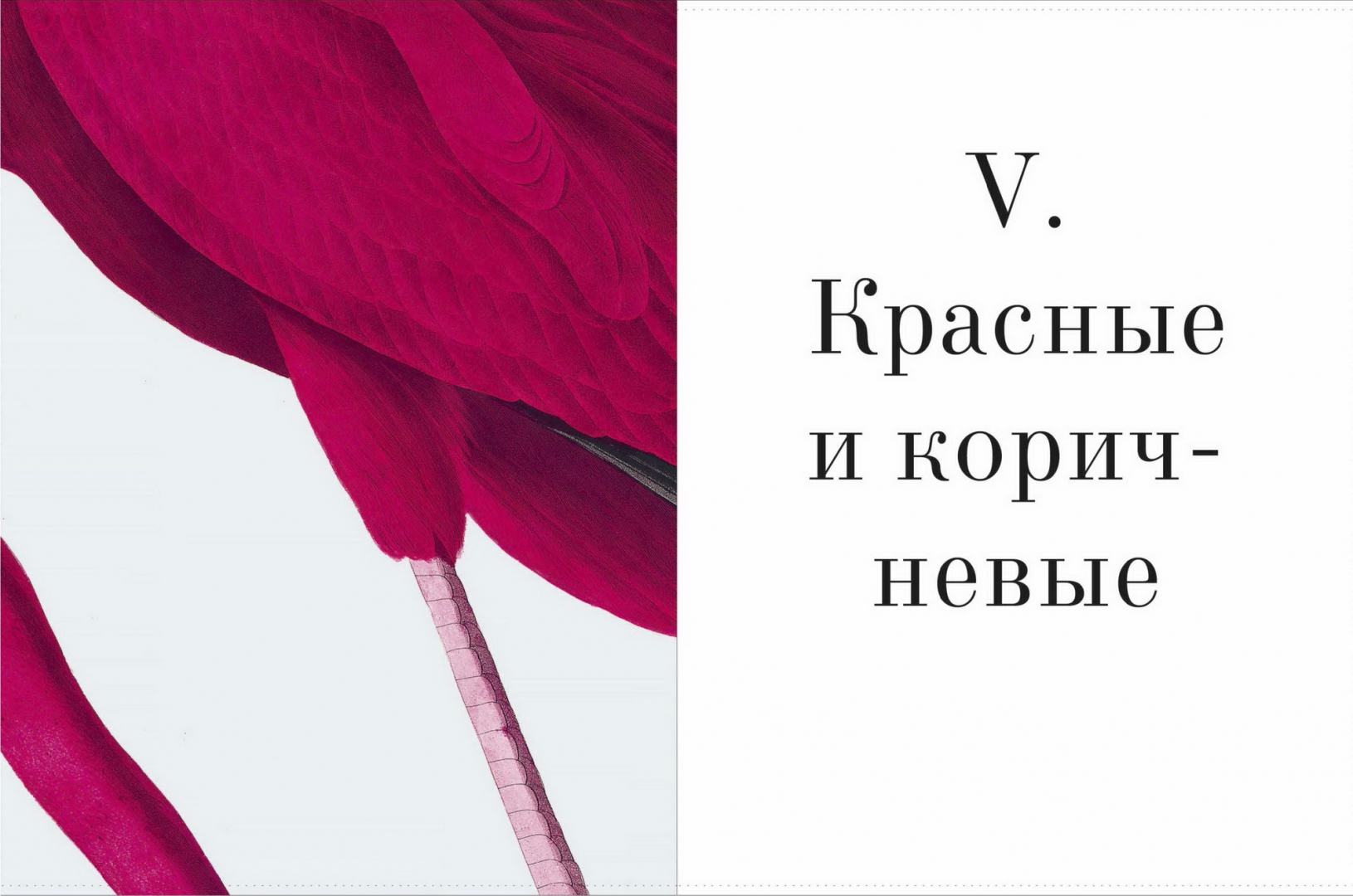 Цвет в природе Патрик Бейти. Анатомия цвета Патрик Бейти. Цвет в природе книга Патрик Бейти.