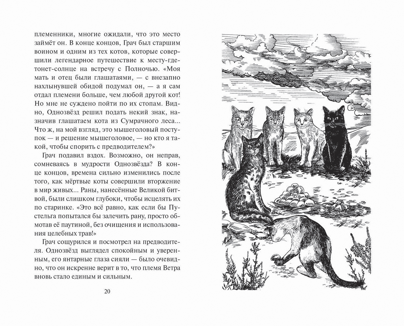 Испытание грача. Коты Воители испытание Грача. Коты Воители испытание Грача тени прошлого. Коты Воители испытание Грача читать. Лес секретов Эрин Хантер книга.