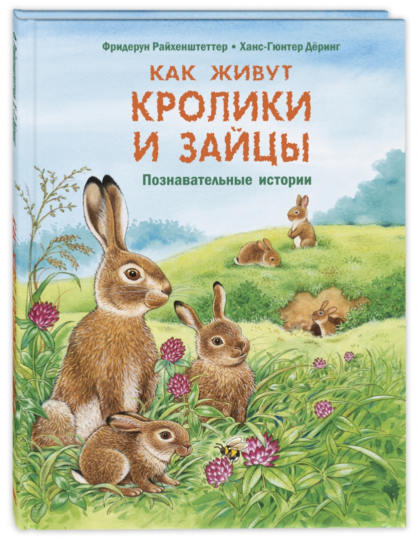 Познавательные рассказы истории. Фридерун райхенштеттер. фридерун райхенштеттер книги. фридерун райхенштеттер познавательные. заяц с книгой.