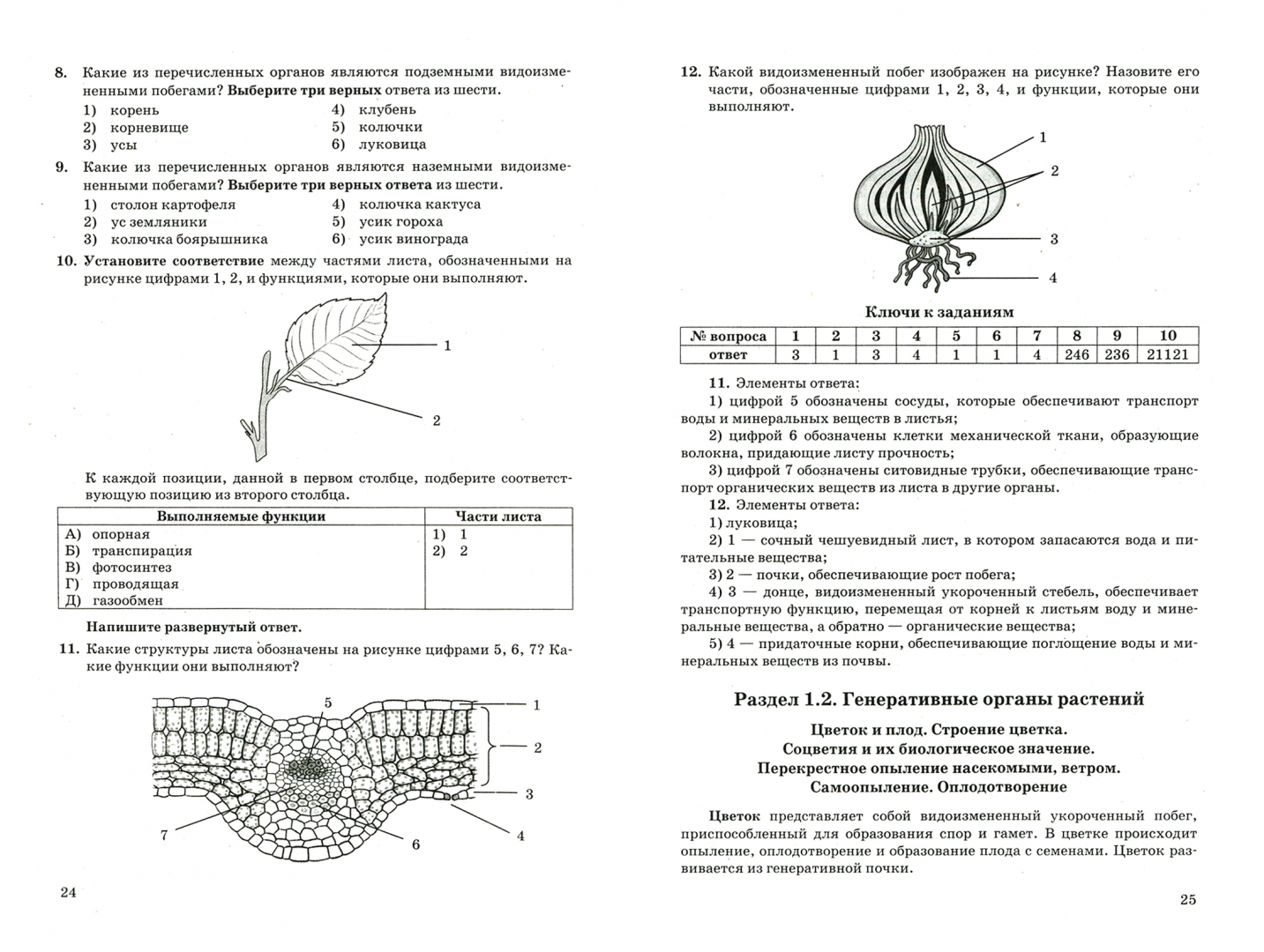 ОГЭ биология 2023. Соответствие между структурой листа обозначенной на рисунке цифрой. Свойства живых организмов ОГЭ биология 2023. Алгоритм решения ОГЭ по биологии 2023 материалы для подготовки.