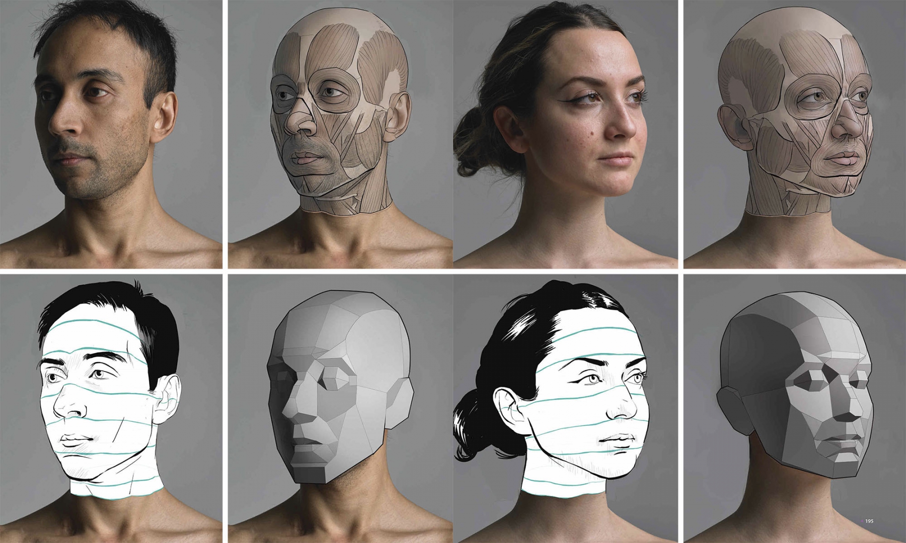 Анатомия человека референс. Что такое 3 4 головы. Что такое 3 4 головы. Профиль 3/4 референс. Лицо в профиль референс.