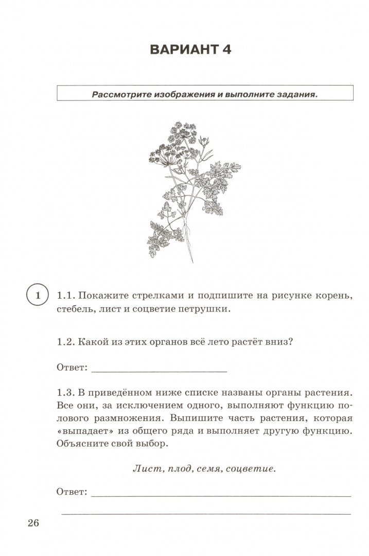 2 вариант впр по биологии 5 класс. Рассмотрите изображение яблони и выполните задания. рассмотрите изображение листа и выполните задания. впр биология 5 класс банникова. впр по биологии 5 класс котикова саленко.
