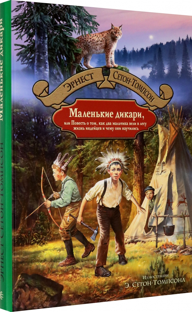 Томпсон маленькие дикари. Э Сетон Томпсон маленькие дикари. Маленькие дикари Эрнест Сетон-Томпсон книга. С-Томпсон маленькие дикари о книге. Э Сетон Томпсон маленькие дикари иллюстрации.