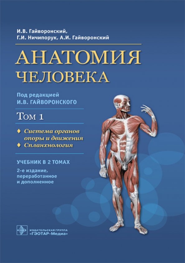 Книга анатомия человека. Гайворонский Ничипорук анатомия человека том 2. Гайворонский анатомия человека 1, 2 т т. Гайворонский Иван Васильевич анатомия. Анатомия учебник Ничипорук.