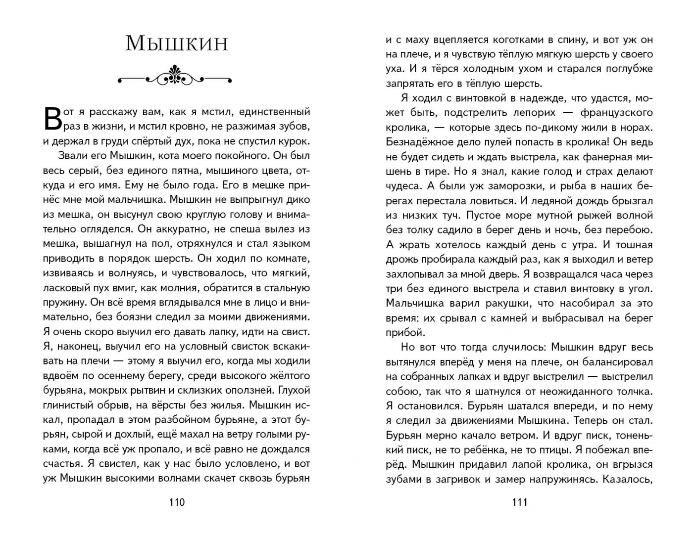 Записки из мертвого дома краткое. Записки из мертвого дома. Записки из мертвого дома Достоевский. Алей Записки из мертвого дома. Записки из мертвого дома иллюстрации.